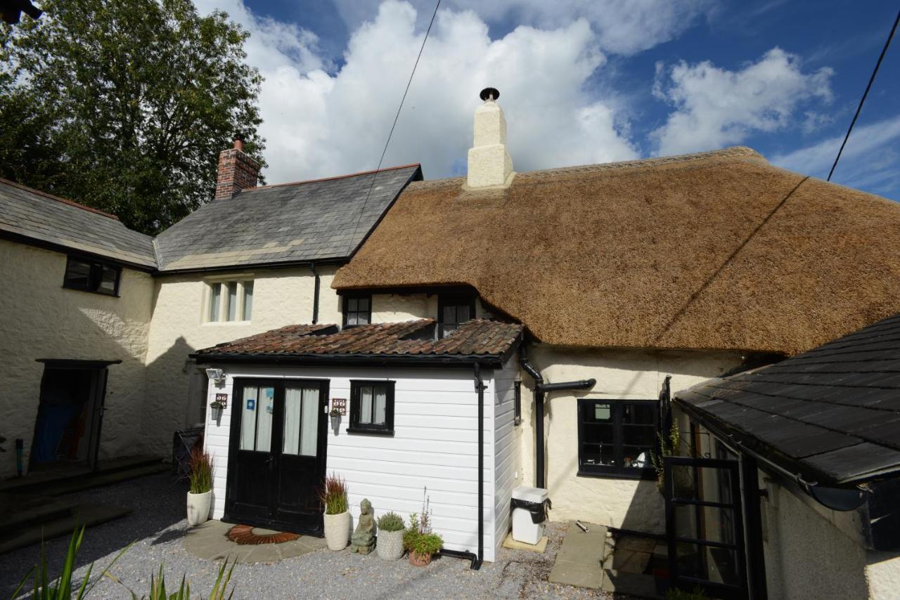 Rose Farm Bed and Breakfast Honiton Eksteriør billede