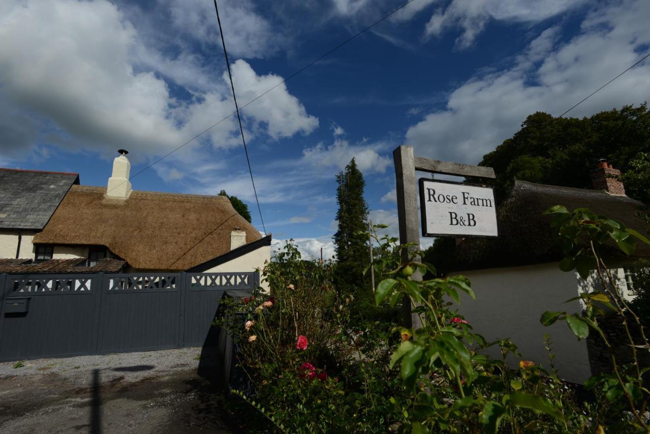 Rose Farm Bed and Breakfast Honiton Eksteriør billede
