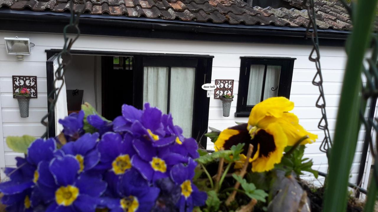 Rose Farm Bed and Breakfast Honiton Eksteriør billede