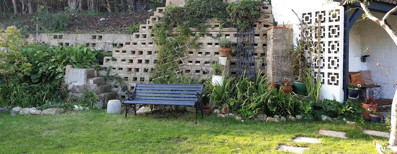Rose Farm Bed and Breakfast Honiton Eksteriør billede