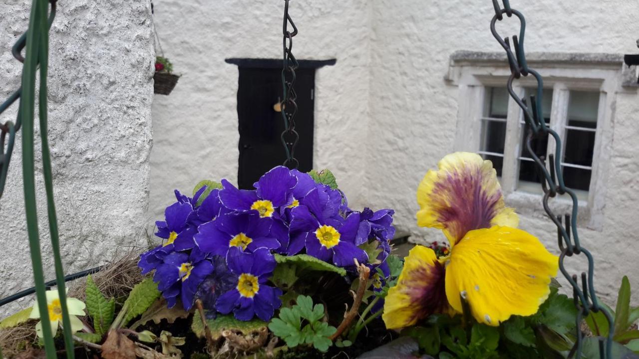 Rose Farm Bed and Breakfast Honiton Eksteriør billede