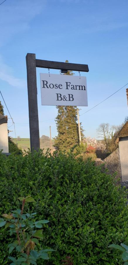 Rose Farm Bed and Breakfast Honiton Eksteriør billede